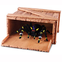 Tarantula Planet Creepy Crate