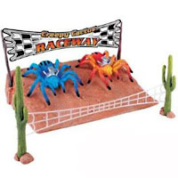 Tarantula Planet Creepy Cactus Raceway