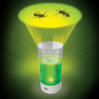 Ant Farm Revolution