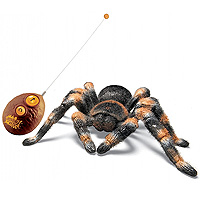 Remote Controlled Tarantula