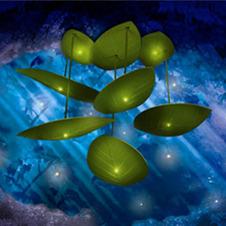 Fireflies In My Room