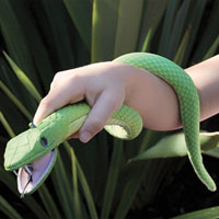 National Geographic Wild Curl & Coil Snake Light