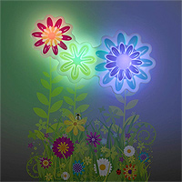 Flower Garden Light Dance