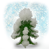 Crystal Growing Trees