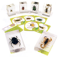 Bugs World Blocks - 6 insects