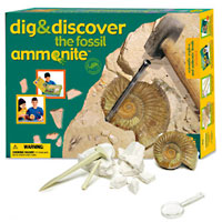 Ammonite Dig & Discovery Excavation Kit