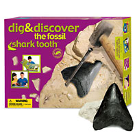 Shark Tooth Dig & Discovery Excavation Kit