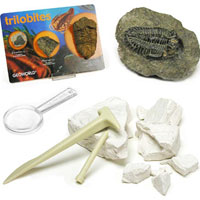 Trilobite Dig & Discovery Excavation Kit