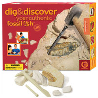 Fossil Fish Dig & Discovery Excavation Kit