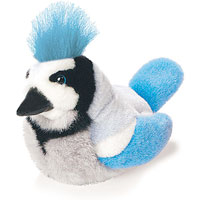 Blue Jay - 5 inch