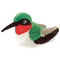 Ruby Throated Hummingbird
