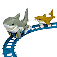 Shark Express