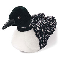 Loon - 5 inch