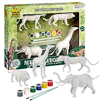 Paint & Play Set - Animal
