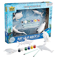 Paint & Play Set - Aquatic