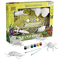 Paint & Play Set - Insect