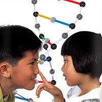 Zome Tool - DNA Kit