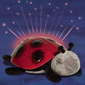 Twilight Ladybug