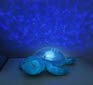 Tranquil Turtle