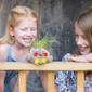 Surprise Ride - Make a Plant Buddy Activity Kit