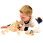 Pyramid Set
