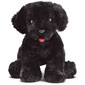 Benson Black Lab
