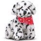 Blaze Dalmatian
