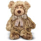 Brownson Bear