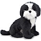 Shih Tzu - Plush