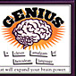 The Genius Magnetic Poetry Kit