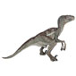 Velociraptor