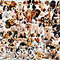 Dogs Galore! 1000 pc Puzzle