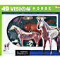 4D Vision Horse Anatomy Model