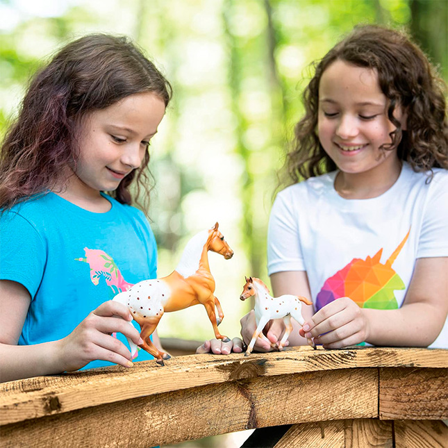 Set De Toilettage Pour Animaux Breyer Freedom Series – Figurine Cheval Et Accessoires