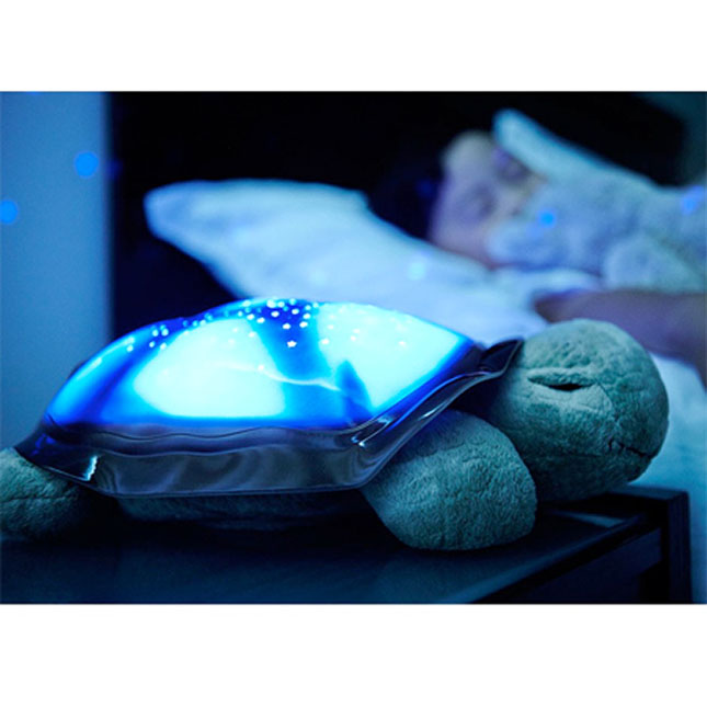 twilight turtle tunes