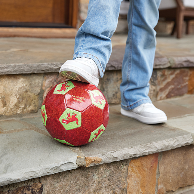 Size 3 Classic Soccer Ball - Dinosaur - - Fat Brain Toys