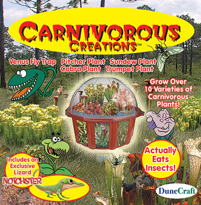 Carnivorous Plants DuneCraft Dome Terrariums 