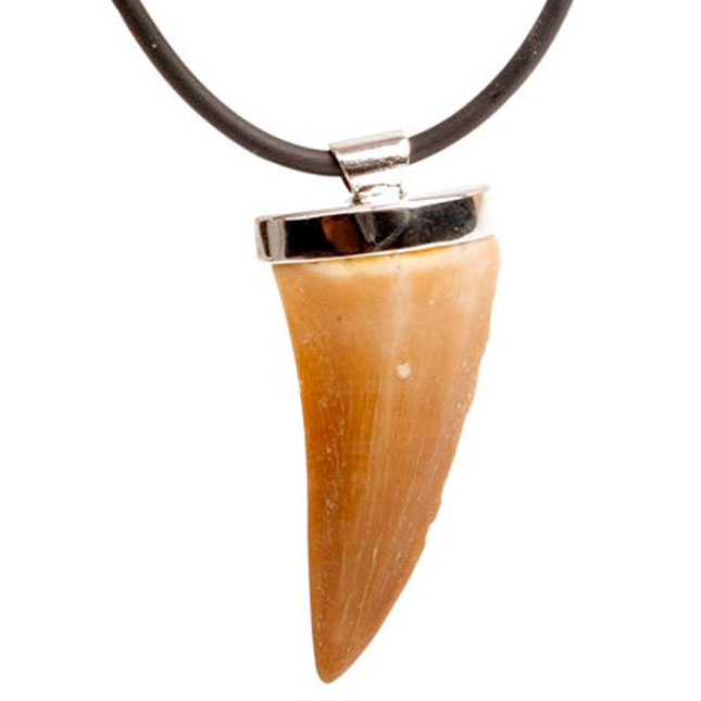 Bear Tooth Necklace (Ghost, var. large, KA) – Parts of Four
