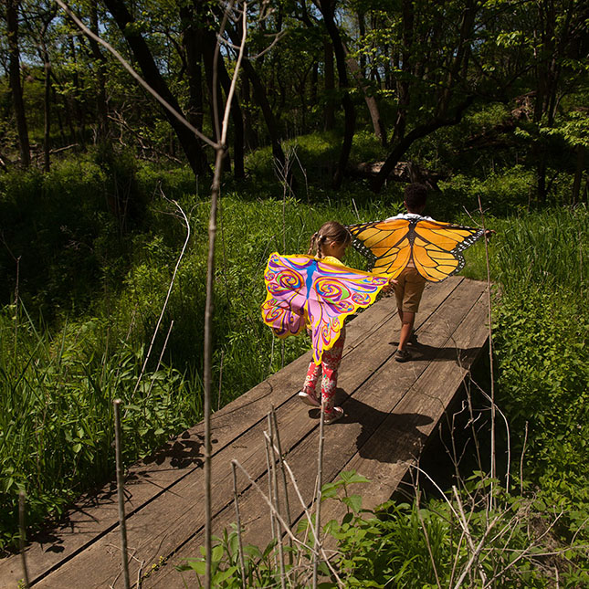 Douglas - Rainbow Fairy Wings