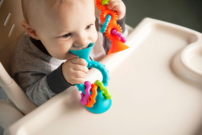 Ventouses pour bébé - Pip Squigz - Fat Brain Toys