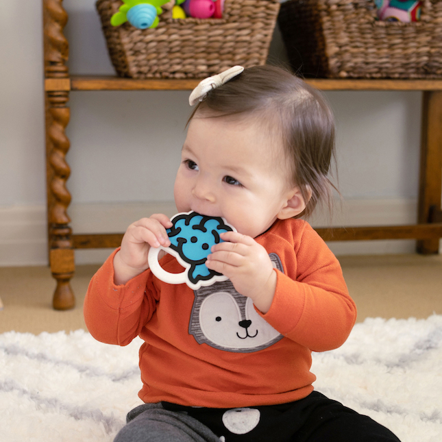 Fat Brain Toys Brain Teether Green Baby Toys /& Gifts for Babies