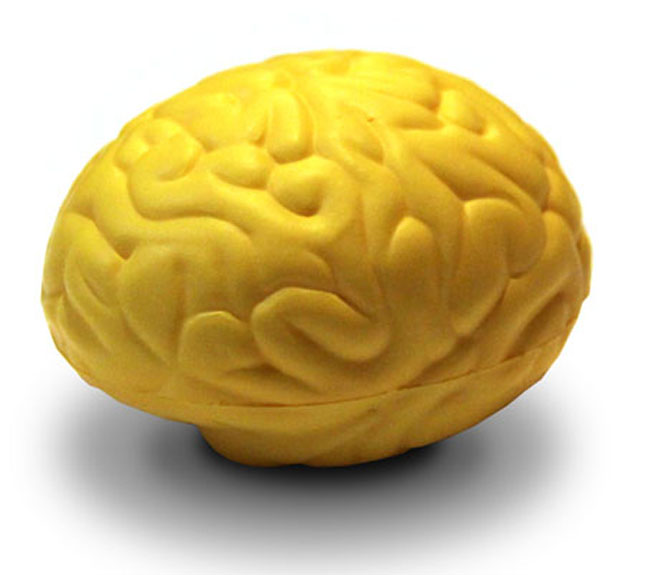 Brain Squish Ball - - Fat Brain Toys