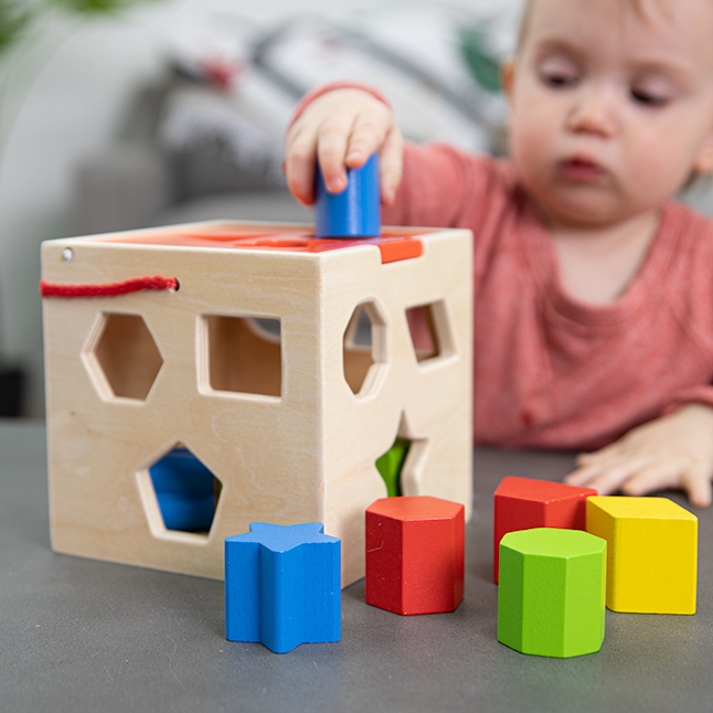 BABY BLOCKS SHAPE SORTER Toy Educational Toddler Development game stacking block 
