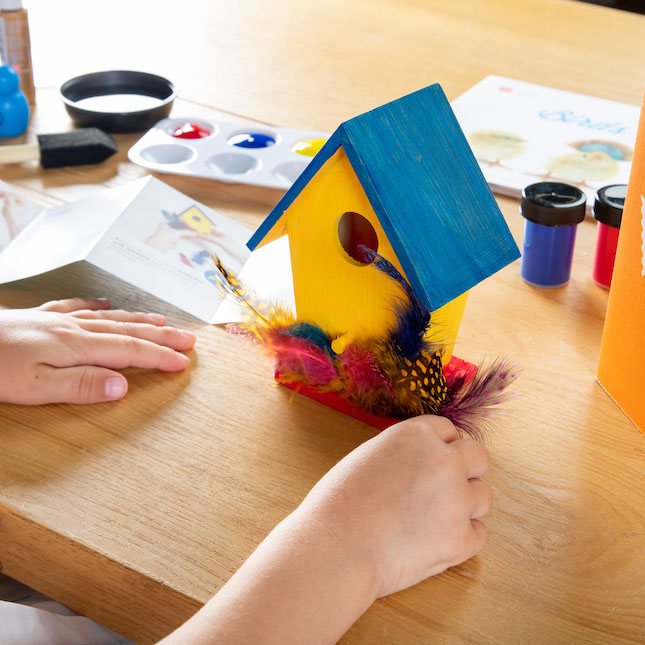 Surprise Ride 12 Month Subscription + Free Paint a Birdhouse Activity Kit