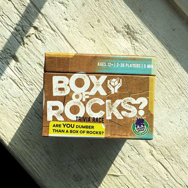 Box of Rocks Fat Brain Toys