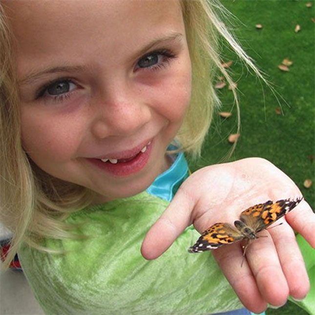 butterfly toys for toddlers