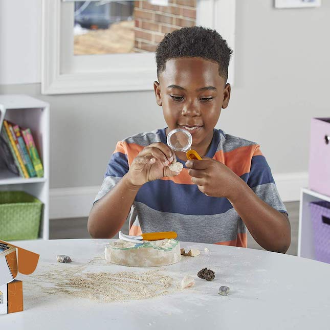 Hand2Mind Dig & Display Fossils Science Lab Kit Fat Brain Toys