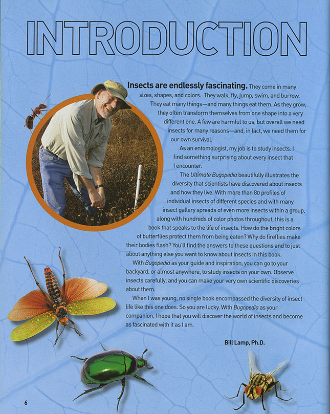 National Geographic Kids Ultimate Bug-Opedia - - Fat Brain Toys