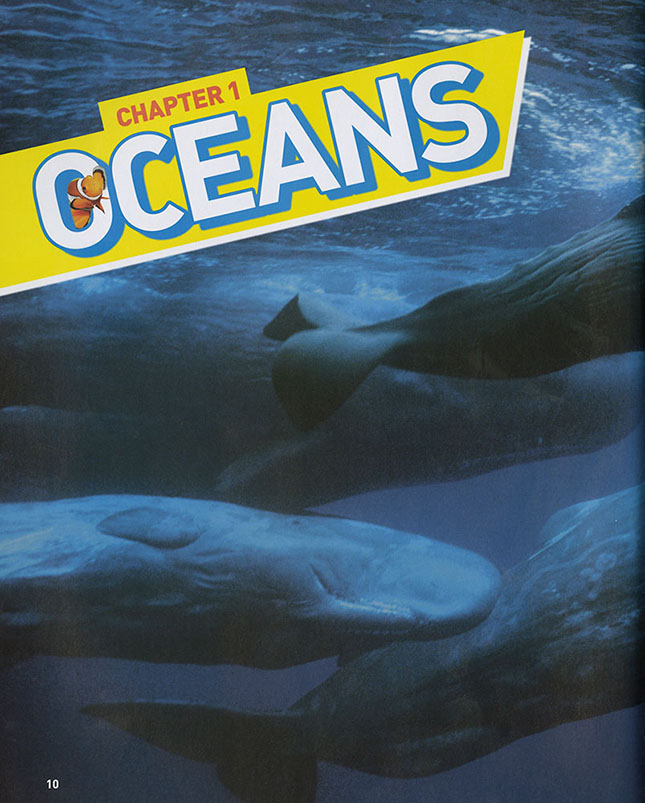 National Geographic Kids Ultimate Ocean-pedia - - Fat Brain Toys