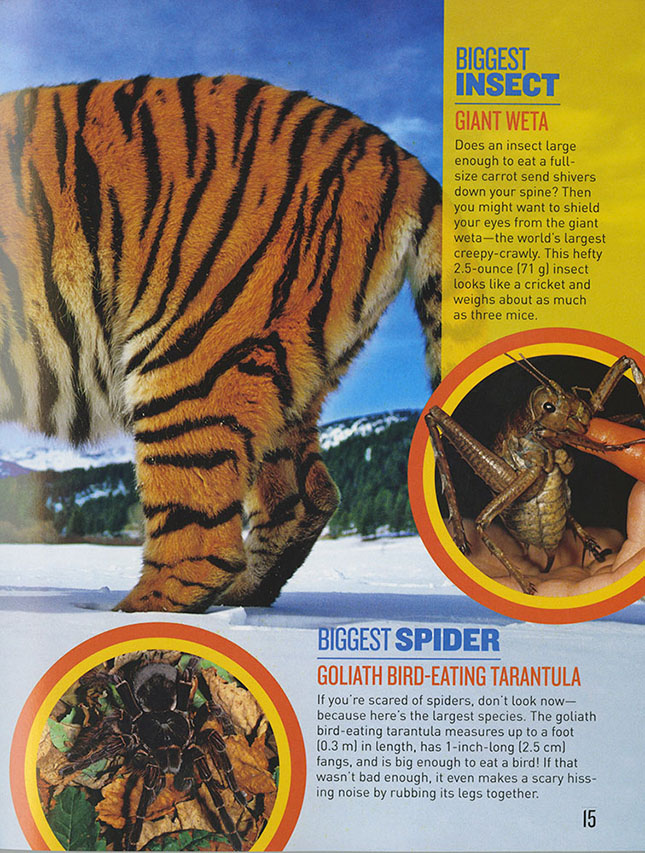 National Geographic Kids Animal Records